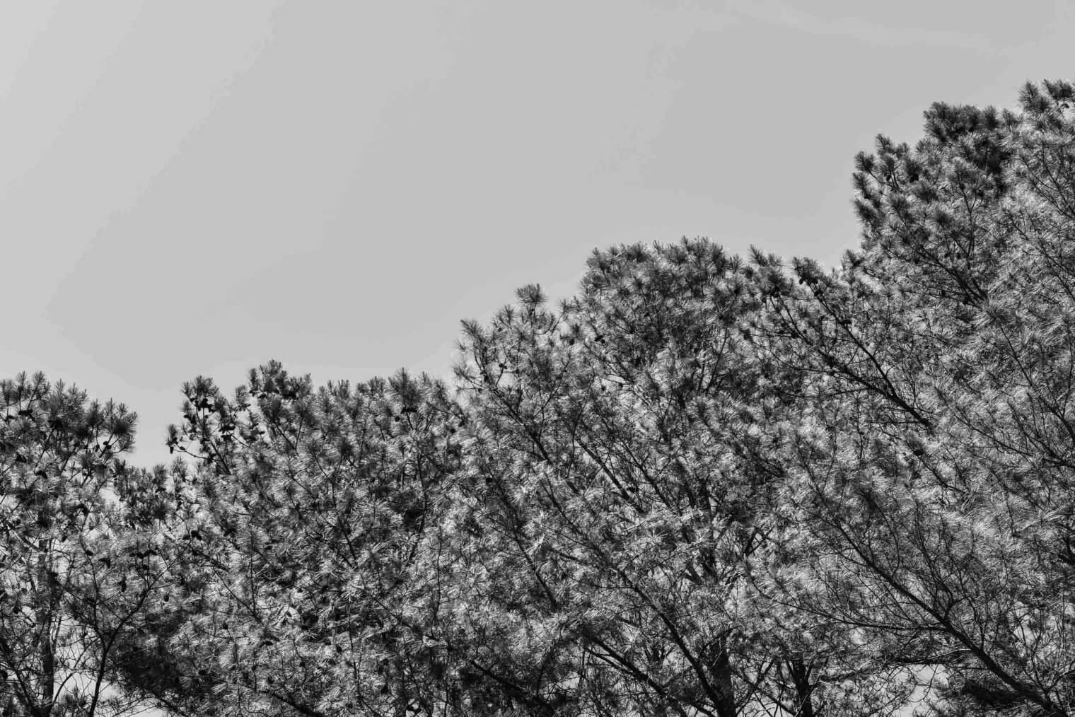abstract 300